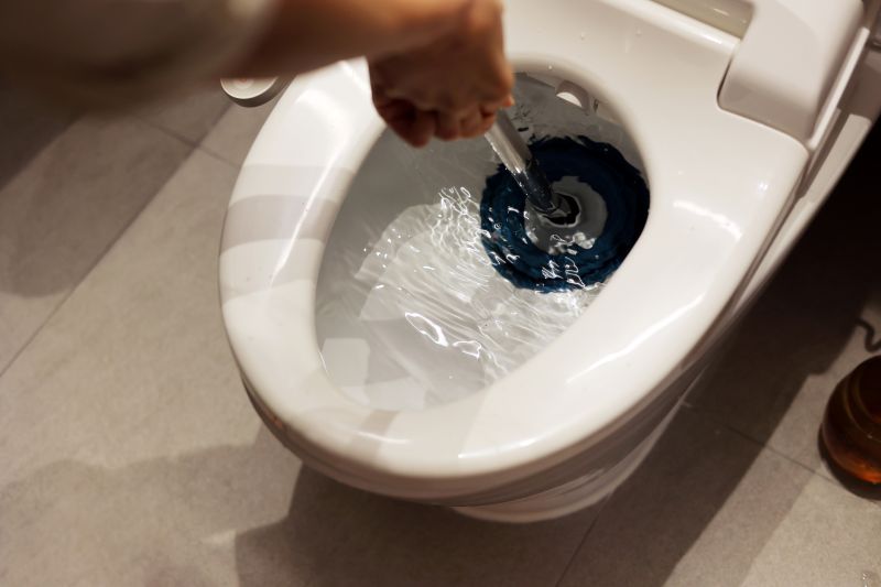 Toilet Plunging in Columbus, OH